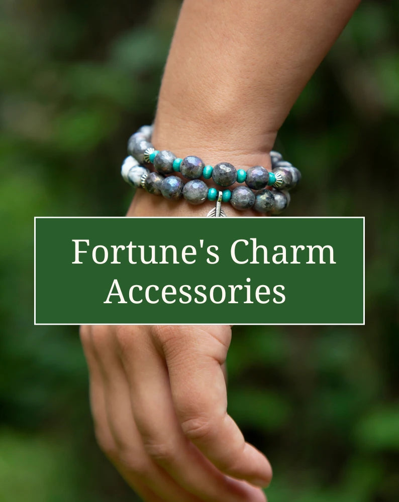 Fortune's Charm Accessories